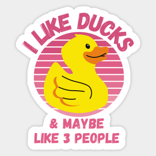 I Like Ducks and Maybe Like 3 People Funny Duck Lovers Design Sticker